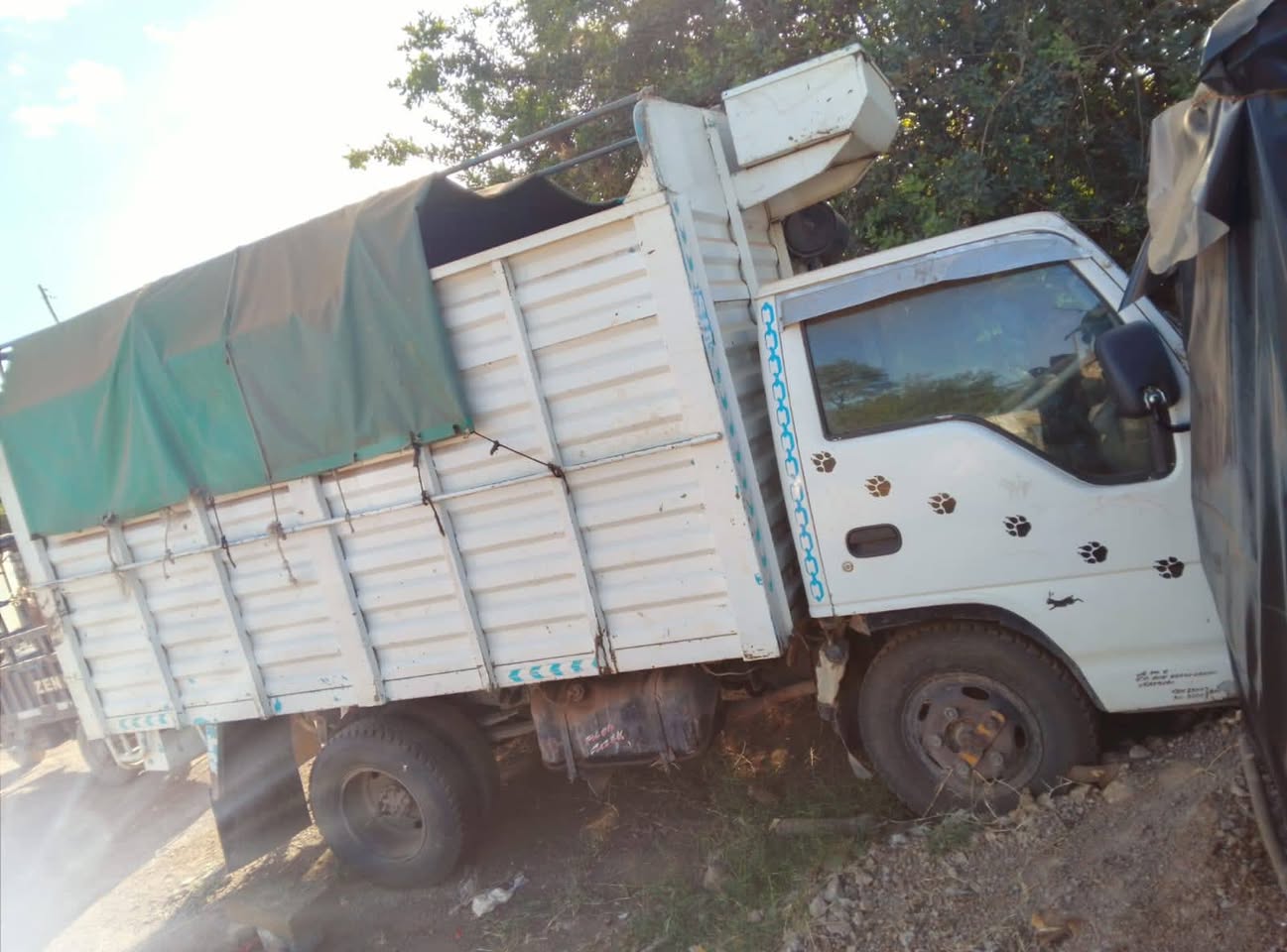 isuzu elf