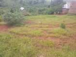 A picture of Get your own plot today Quick sale titled plot on