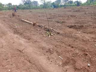 A picture of Plots for sale