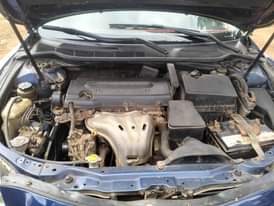 A picture of Camry spider