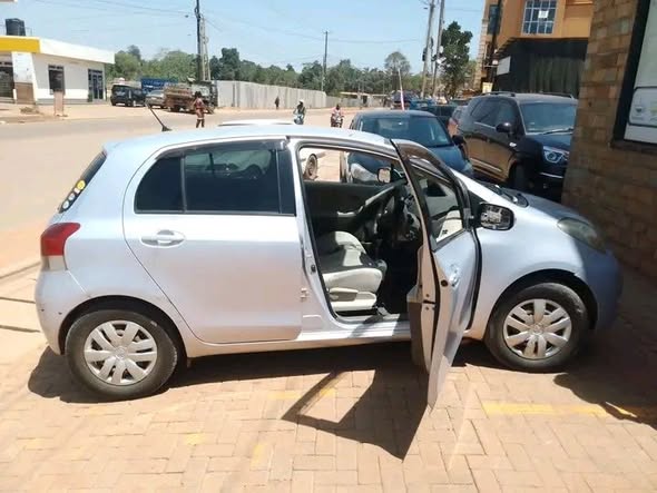 A picture of vitz