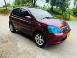 A picture of Vitz