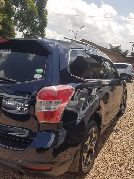 A picture of 2015 Subaru Forester