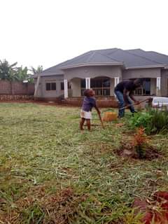 houses hoima