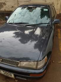 A picture of Toyota Corolla kikumi