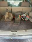 A picture of Super clean Toyota matrix 2004 model 2m owner just buy