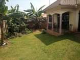 A picture of House for sale in Wamala