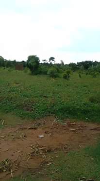 A picture of 8 Acres Lake land Private MAILO touching Shores Waters of