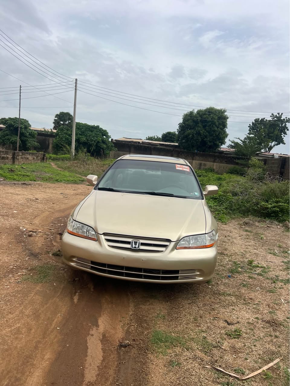 A picture of Honda accord 2000