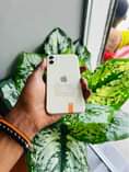 A picture of iPhone 11 plain