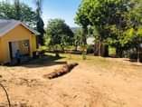 A picture of Plot For Sale
