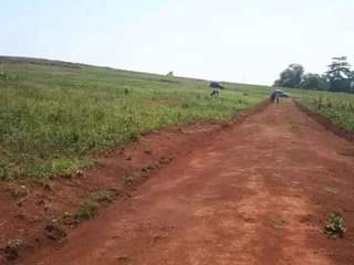 A picture of WAKISO KAKIRI TOWN ESTATES WITH TITLES NEAR KAMPALA 7M 20M