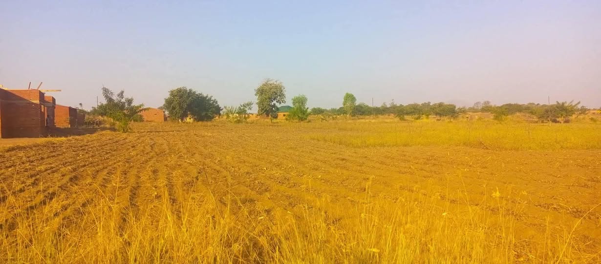 land