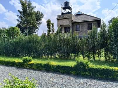 maisonette house