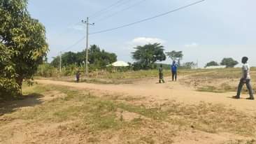 A picture of PLOTS LOCATED BULAMU MITYANA ROAD