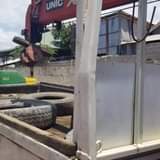 A picture of CANTER CRANE TANI TATU