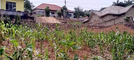A picture of Cyino cyibaza cyiragurishwa cyiherereye Kimironko Kibagabaga