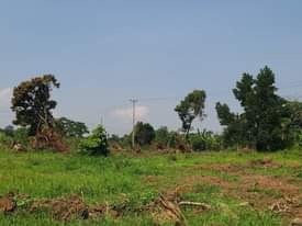 A picture of PLOTS OF LAND