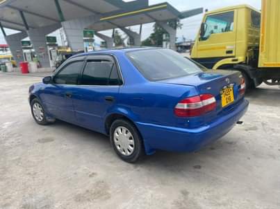 A picture of 2001 TOYOTA COROLA 111 0714058883 toyota
