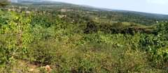 A picture of 30acres in NkokoNjeru each at 70m sold whole