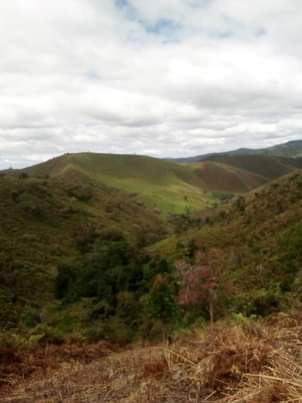 A picture of Shamba linalofaa kwa kilimo cha parachichi au miti ya mbao