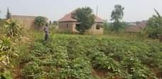 A picture of Plot on sell. 2.5million