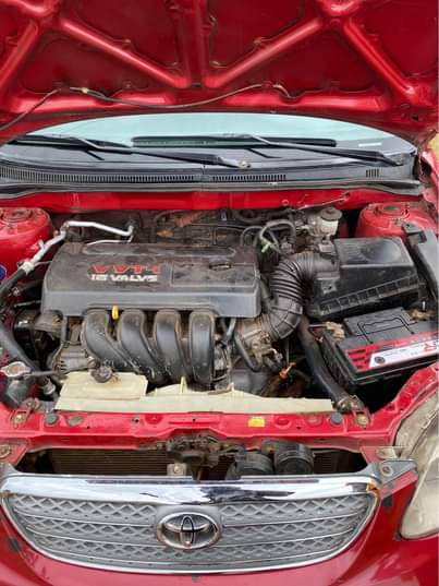 A picture of Toyota Corolla 07