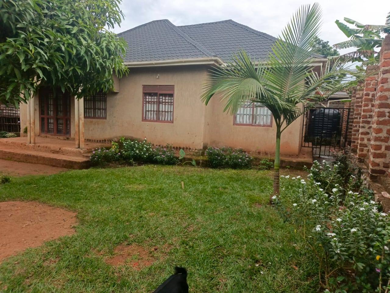 plots mukono