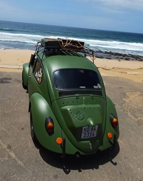 vw beetle