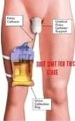 A picture of Health products