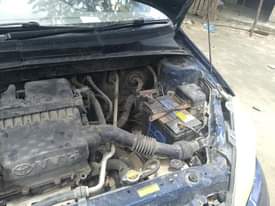 A picture of Nauza Vitz