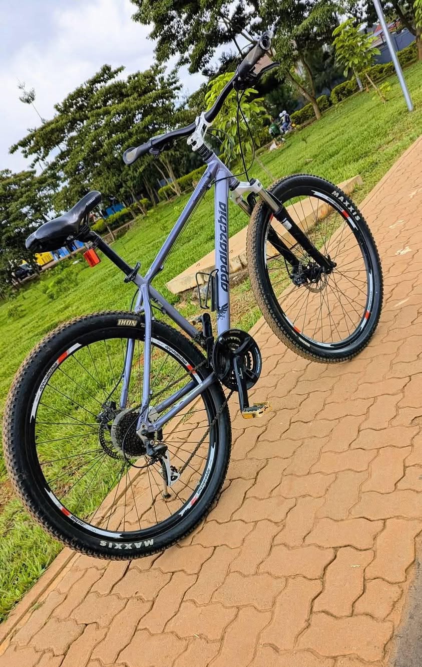 bikes