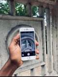 A picture of iphone 6 plain