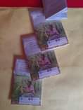 A picture of Airtel money