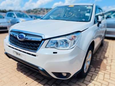 A picture of Subaru Forster
