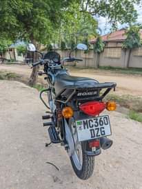 A picture of Boxer HD 125