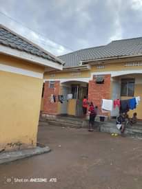 A picture of Rentals for quick sale 300m in mukono town