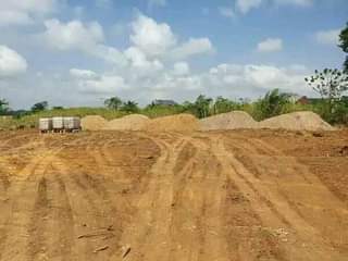 Barimah K.
