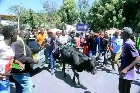 A picture of Kaze kwamuganga makoma 1 kubibwe turabagaruriza 2 kubafise inyatsi yokutaronka