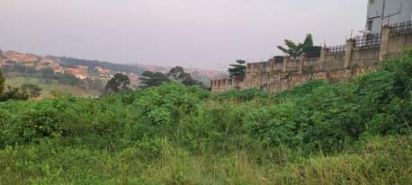 A picture of Najjera buwate 25decimals 100x100feet plot Hill Top 250million 0705783434