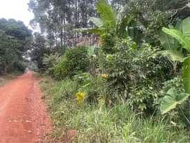 A picture of Titled acre at 15m zirobwe