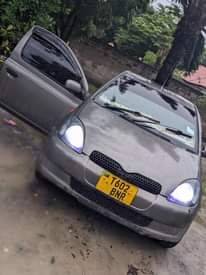 A picture of VITz 