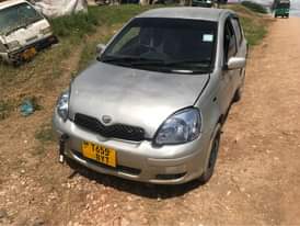 A picture of Gari vits