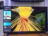 A picture of Hisense 43inch