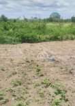 A picture of Acer s of Land