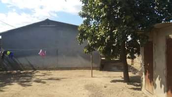 shops