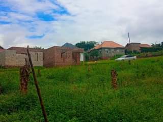 A picture of  MATUGGA TOWN SITE All installments allowed 25x40ft..................... 4M 40x40ft.............