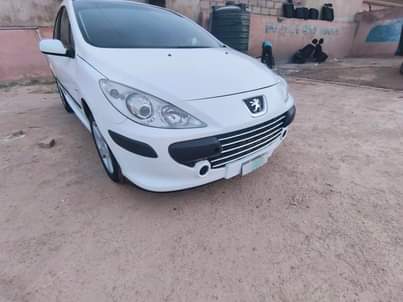 A picture of Peugeot 307 manual transmission normal hand