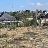 A picture of SITE VISIT BUNJU MABWEPANDE