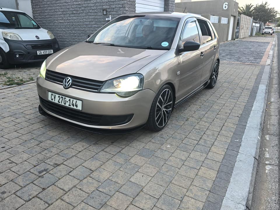 polo vivo